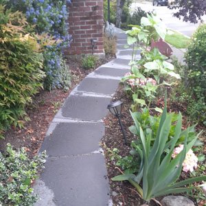 Lopez Landscaping Seattle